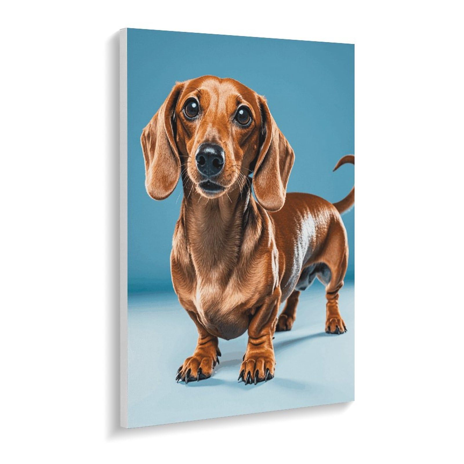 TKJMCSW Malen-nach-Zahlen-Set für Erwachsene, Anfänger, Erwachsene, Dackel-Weiner-Motiv, Malen nach Zahlen, Kits auf Leinwand, DIY-Acryl-Ölfarben, Gemälde mit Pinseln als Geschenk, Heimdekoration