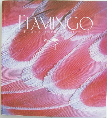 Flamingo: A Photographer's Odyssey 0810925117 Book Cover