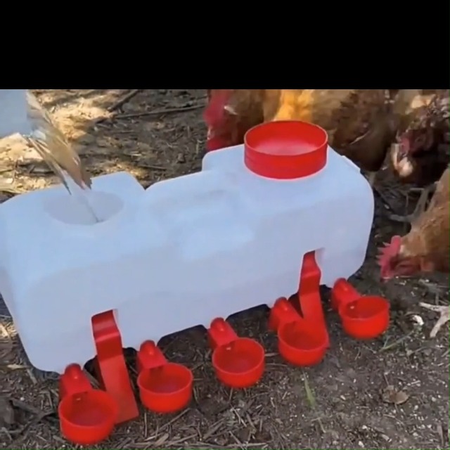 Bebedero Automatico 100 Bebederos Automáticos Para Pollos - Tetinas De Acero Inoxidable (4x1.5cm, Color Rojo) Pollo Corral