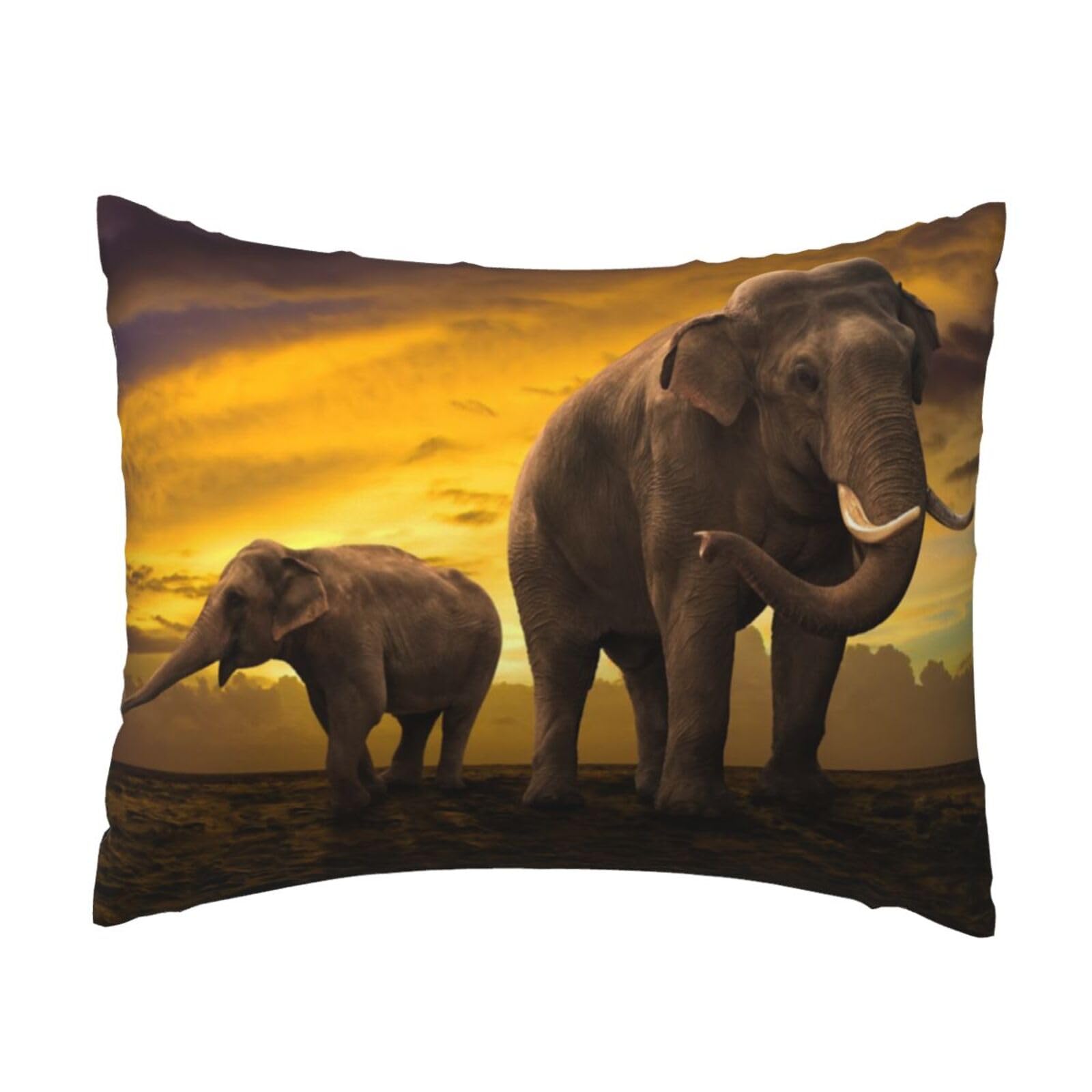 GSGCSBYMLG Sunset Parent-Child Elephant printed Pillow Case 20x26in Cushion Cover