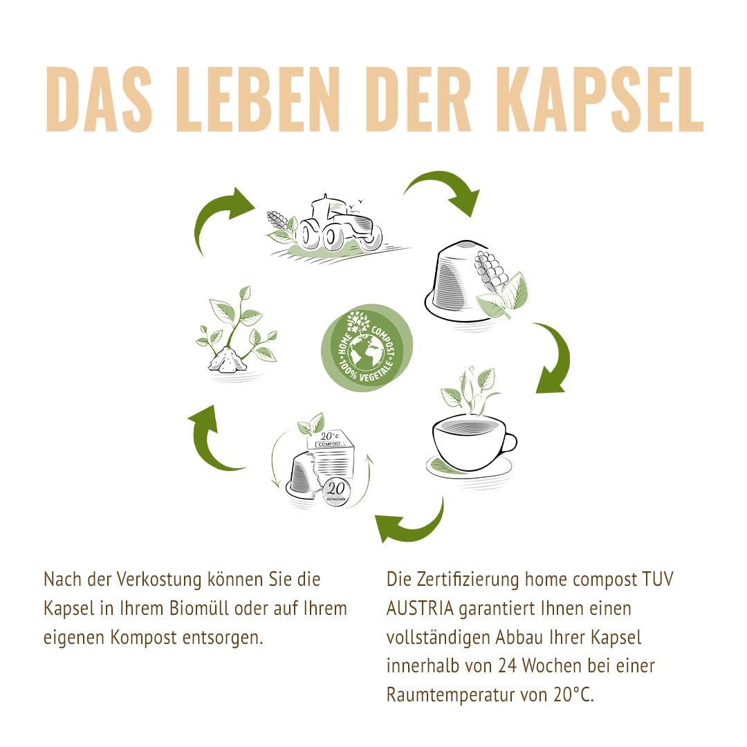 MOKA - 100% reiner Arabica-Kaffee aus Mexiko - Stärke 8 - Origineller und eleganter Bio-Kaffee - 100 mit kompatible Kapseln - Zero Waste - Biologisch abbaubar und Home Compost - Frankreich