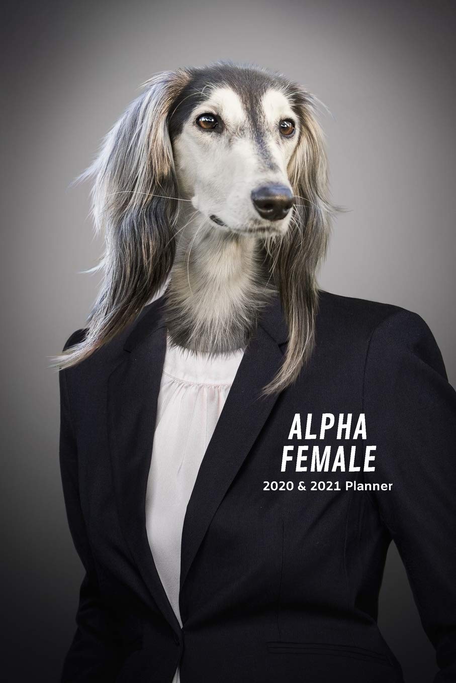 How Do You Deal With An Alpha Female Dog