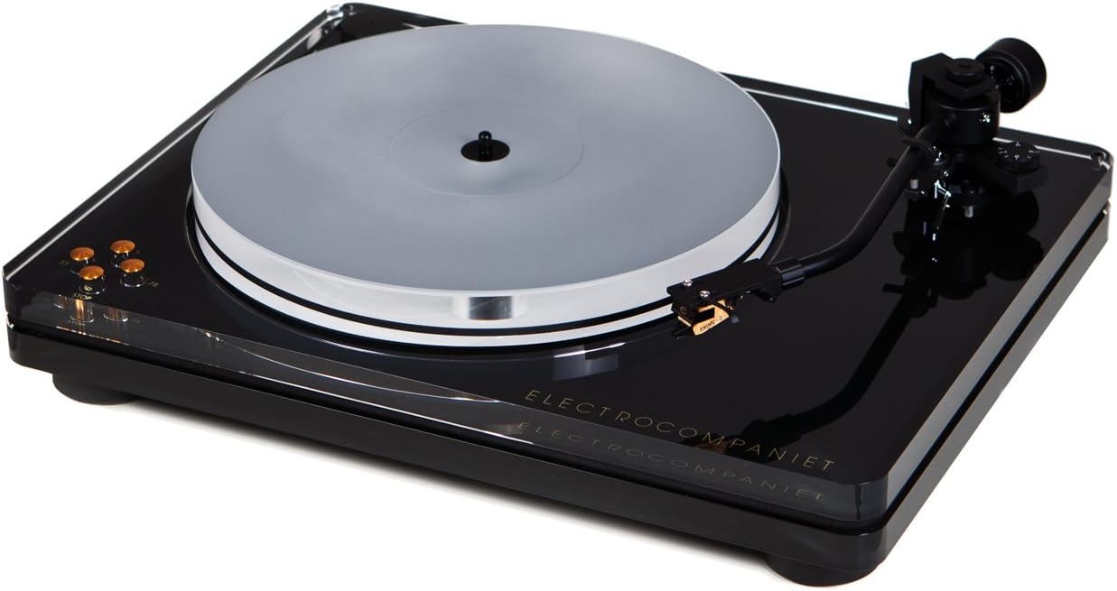 ECG 1 - Manual Turntable
