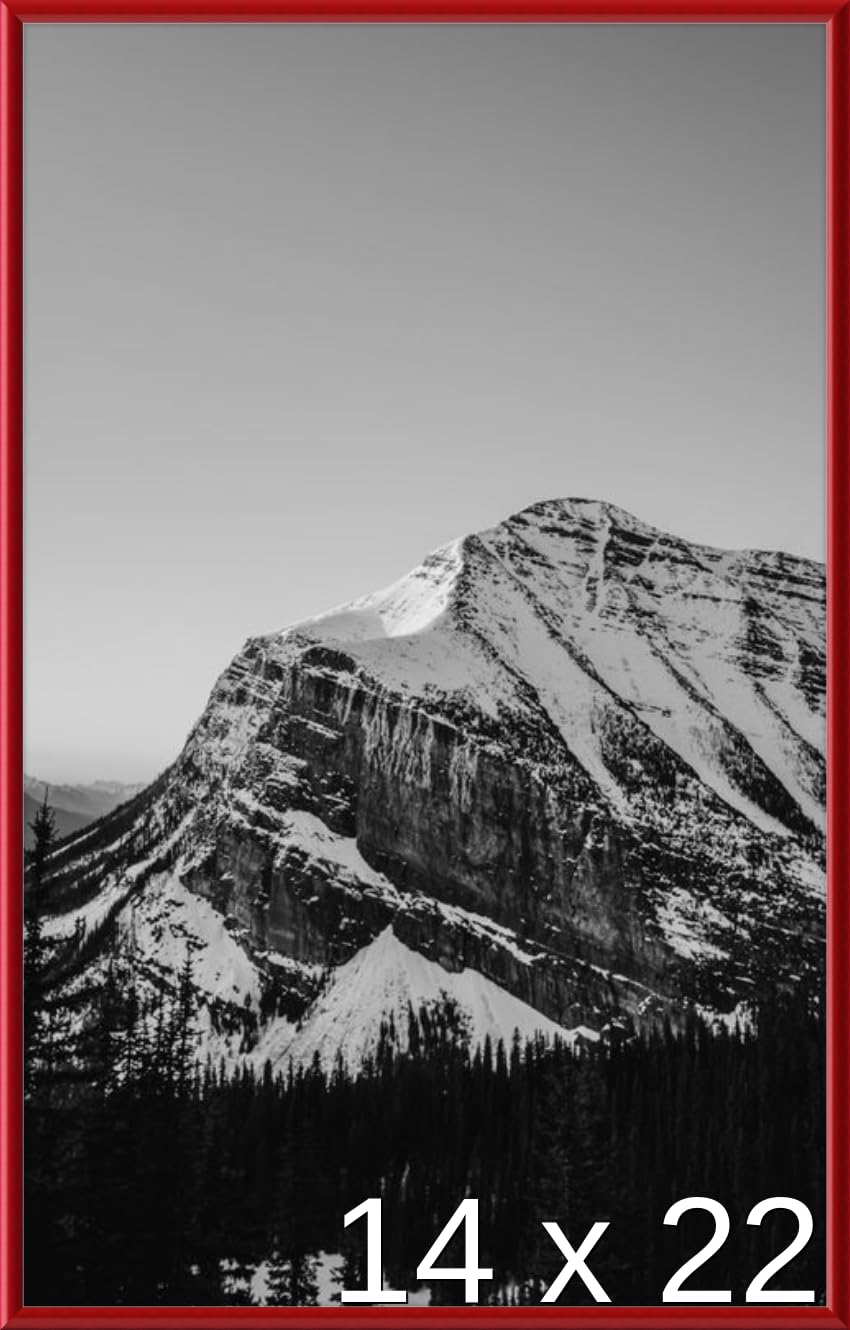 Amazon.com - 14 x 22 Poster Frame - Red Picture Frame (Window