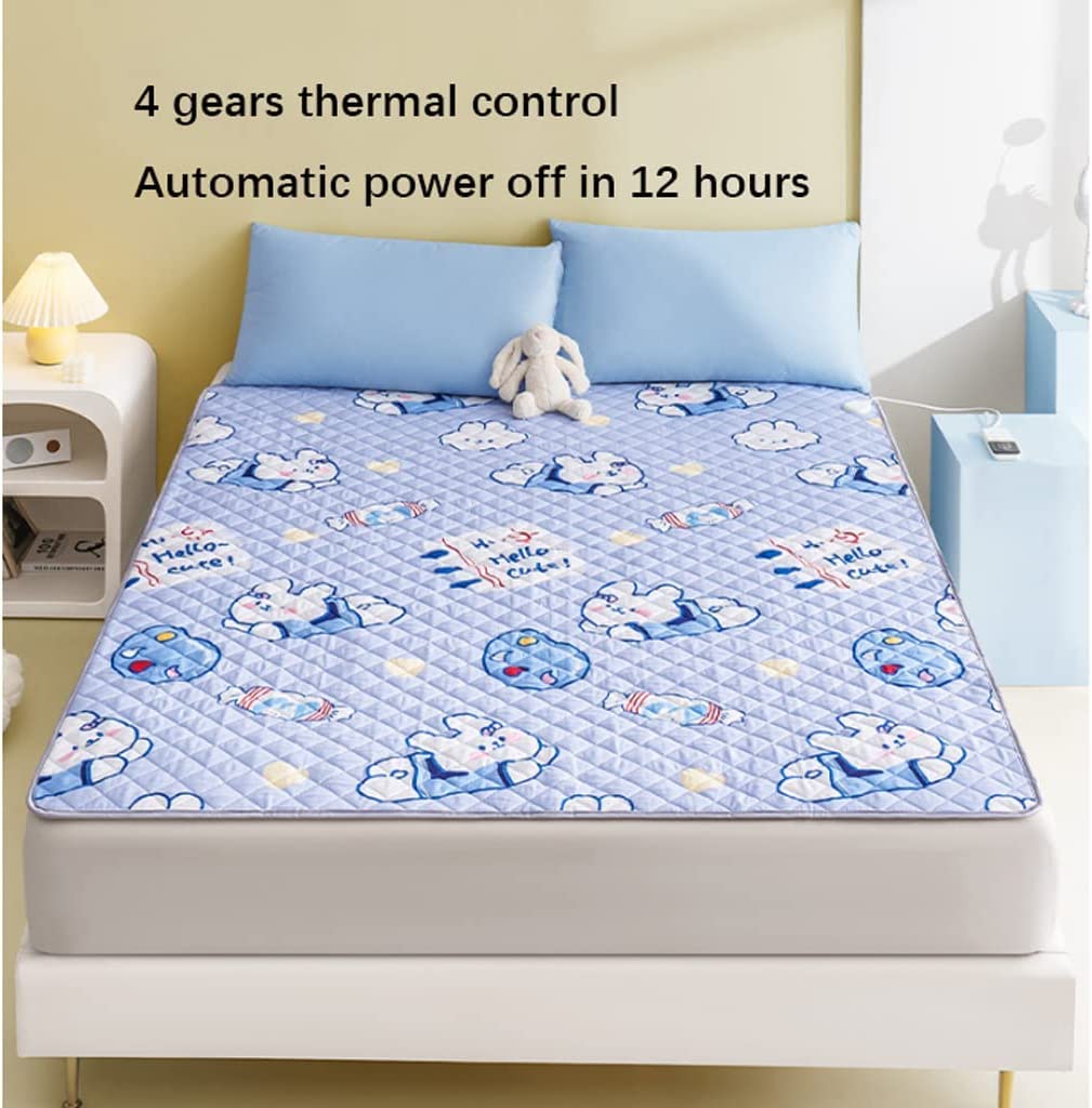 LIOONS Coperta Elettrica Coperta riscaldata King Size Coperta elettrica Doppio Controllo 4 impostazioni di Calore e 12 Ore di spegnimento Automatico Lavabile in Lavatrice Coperta Riscaldata