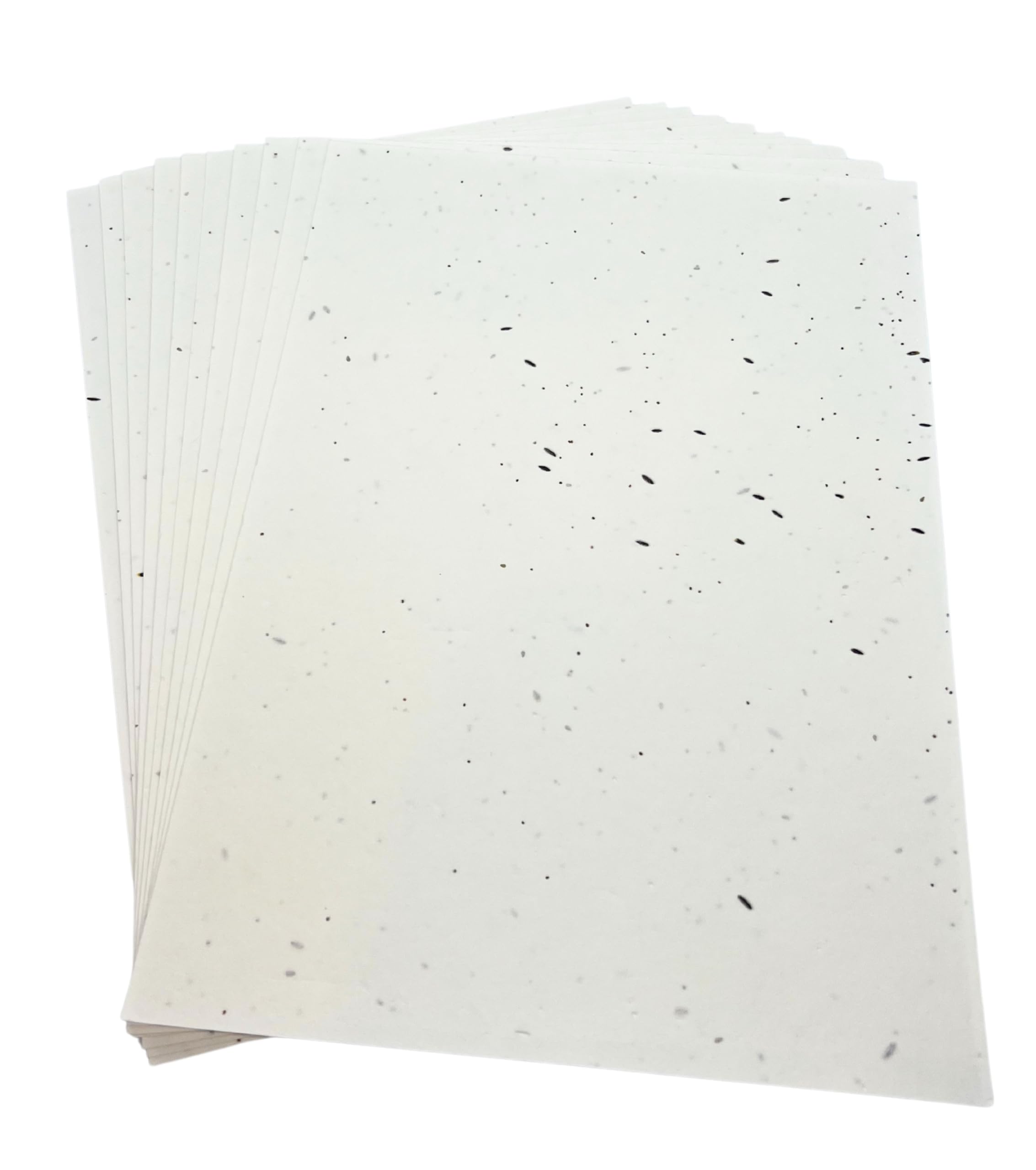 Seeded Craft Paper 10 Sheets A4 Size Mixed Wildflower Seeds 200GSM Plantable ECO A4-MIX-10
