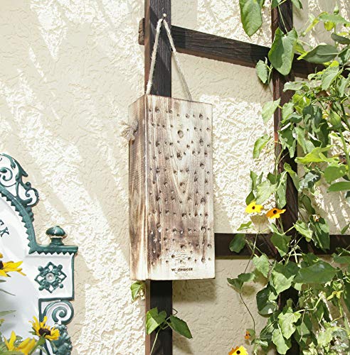 Windhager Wildbienennistholz, Nisthilfe Brutplatz Nistplatz, aus Massivholz, inklusive Schnur zum Aufhängen, braun, 8 x… – Bild 3