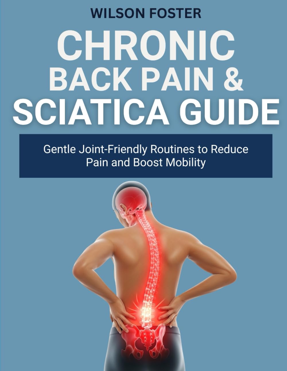 CHRONIC BACK PAIN & SCIATICA GUIDE: Proven, Home Methods for Nerve Relief, Flexibility, and Postural Strength