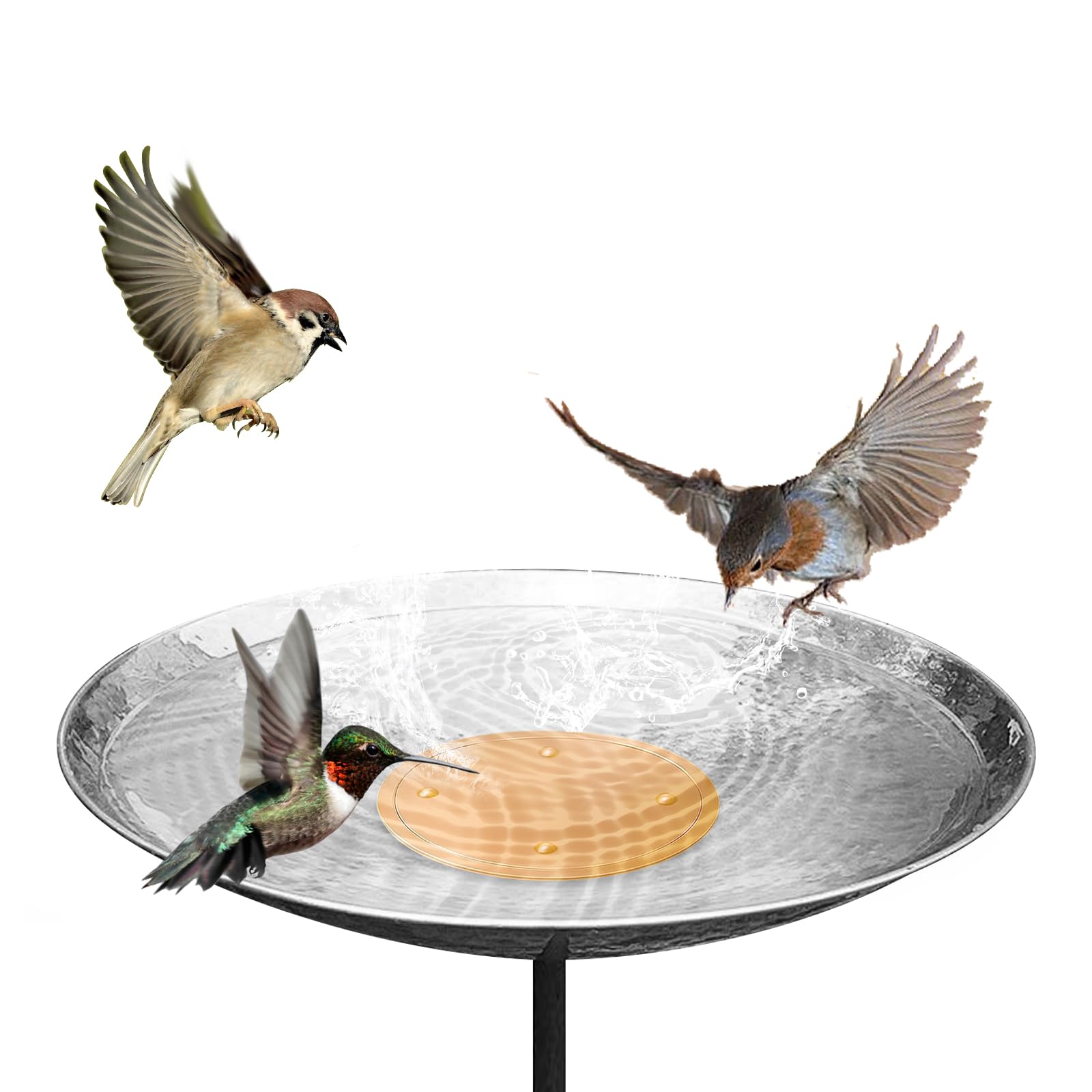 Lot de 6 disques de purification pour bain d'oiseaux, 99,99 % cuivre pur, 0,6 mm, garde l'eau propre et fraîche pour intérieur extérieur, jardin, cour, terrasse