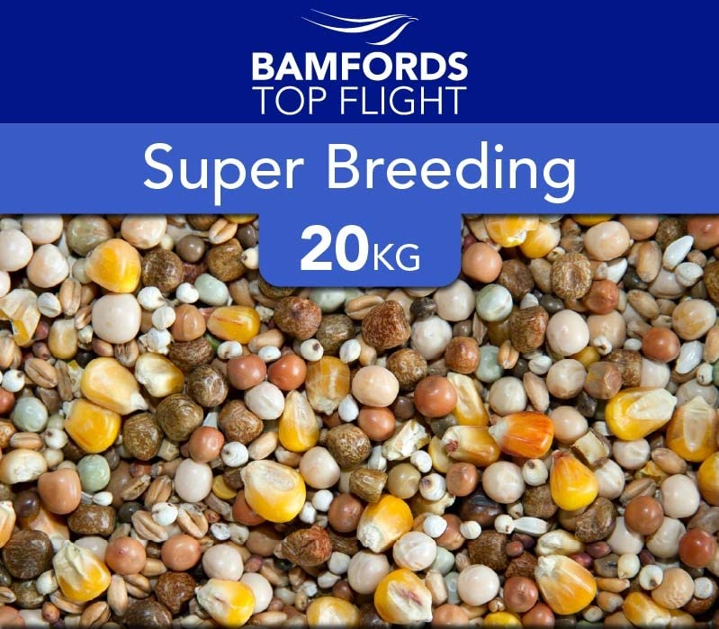Super Breeding Pigeon Food