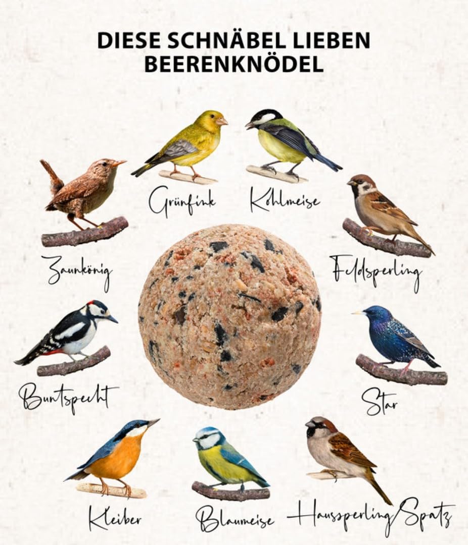 Dehner Natura Premium Meisenknödel ohne Netz, Beerenknödel, ganzjähriges Wildvogelfutter proteinreich / energiereich, im Eimer, 100 Stück je 90 g (9 kg)