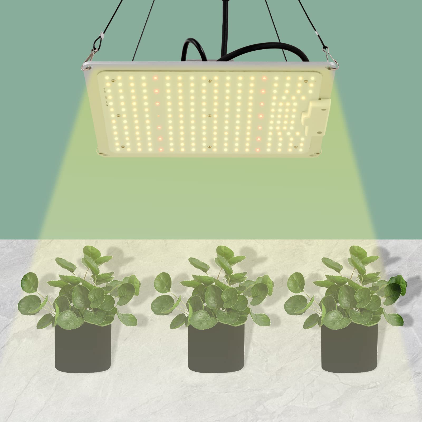 Lámpara LED de cultivo de 100 W de espectro completo para plantas de interior, verduras, flores, con placa LED IP65 impermeable