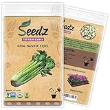 Organic Celery Seeds, APPR. 125, Tall Utah Celery, Heirloom Vegetable Seeds, Certified Organic, Non GMO, Non Hybrid, USA