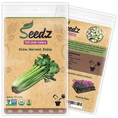 Organic Celery Seeds, APPR. 125, Tall Utah Celery, Heirloom Vegetable Seeds, Certified Organic