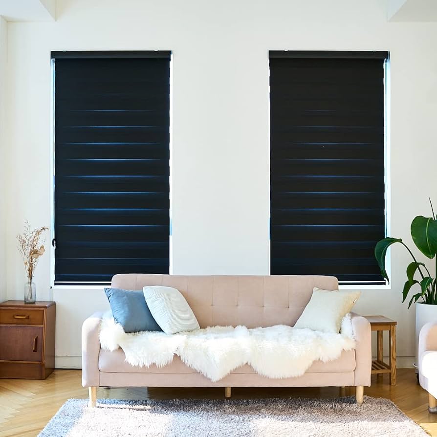 eeHAUS 調光ロールカーテン W170×H210cm eeHAUS 調光ロールカーテン W170×H210cm Amazon｜eeHAUS