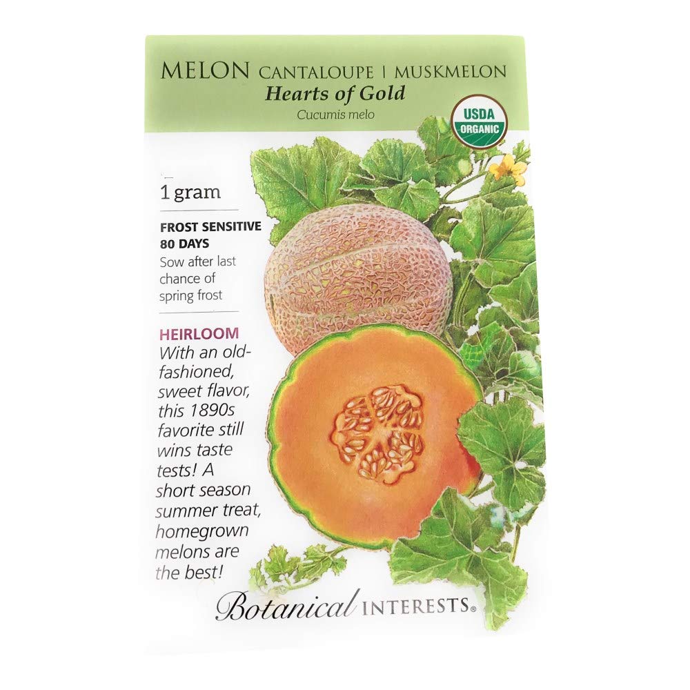 Melon Hearts Of Gold Organic Seeds - Premium Quality For Your Garden