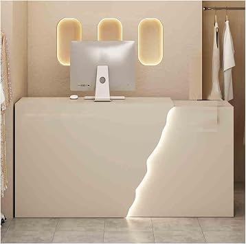 Modern Reception Desk Counter Table, Small Reception Desk with Counter LED Light,Retail Checkout Counter for Clothing Store Lobby Beauty SalonD,L-39.3x23.6x35.4in