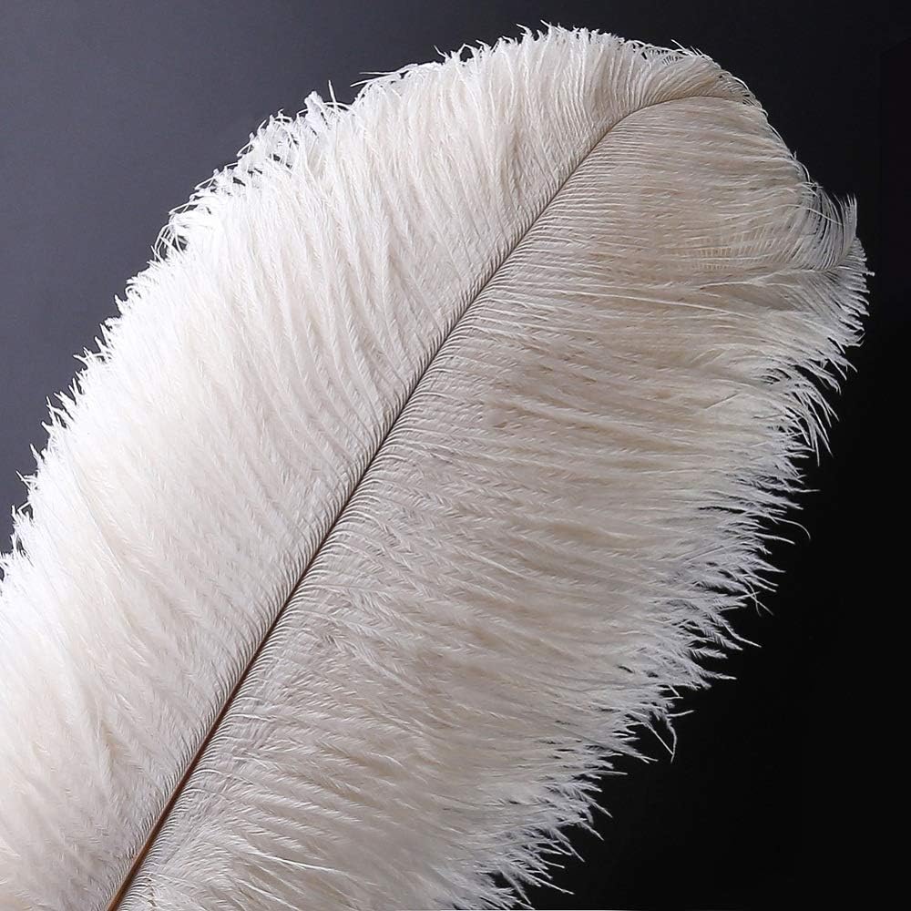 5 PCS Natural Ostrich Feathers – Soft Decorative Plumes for Craft, DIY, Wedding Décor, Centerpieces & Costumes-image-42