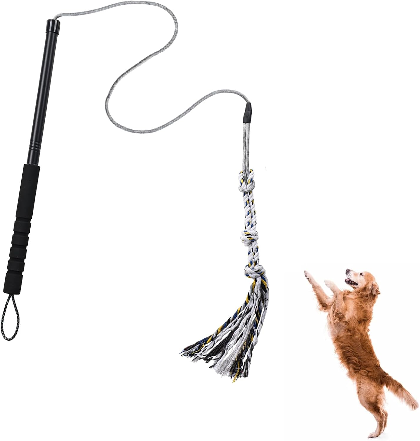 Pragmatist Outdoor Flirt Pole for Dog, Detachable Dog Flirt Pole Heavy Duty Sturdy Pet Toys for Outdoor Exercise & Training Durable Teaser Wand Interactive Chewing Toy for Small Medium Dogs, Black