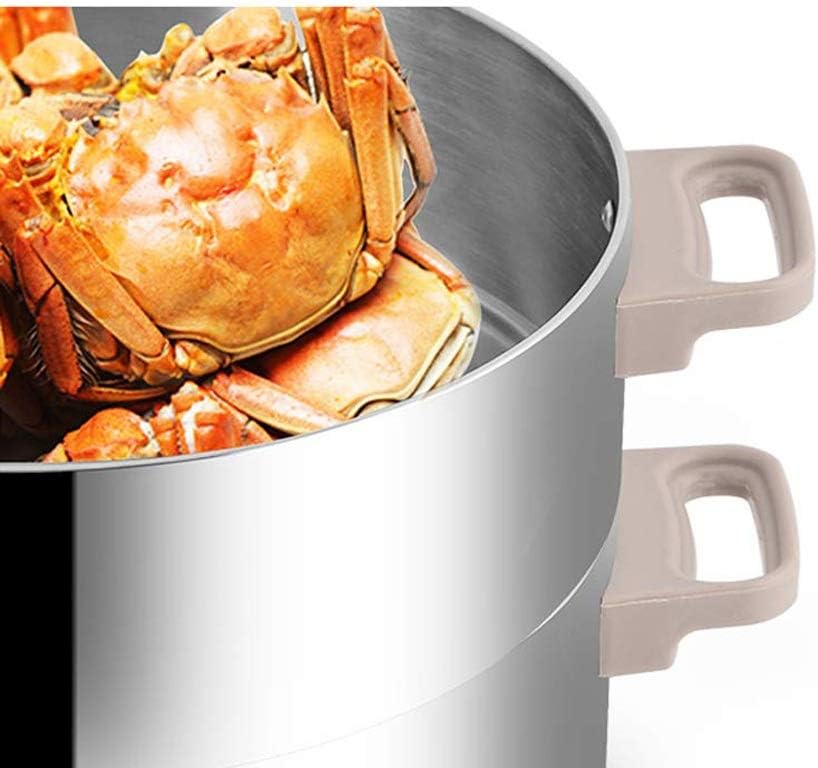 Food Steamer, Vegetable with Stackable Baskets and Auto Shutoff, Fast Heating including(Layer)