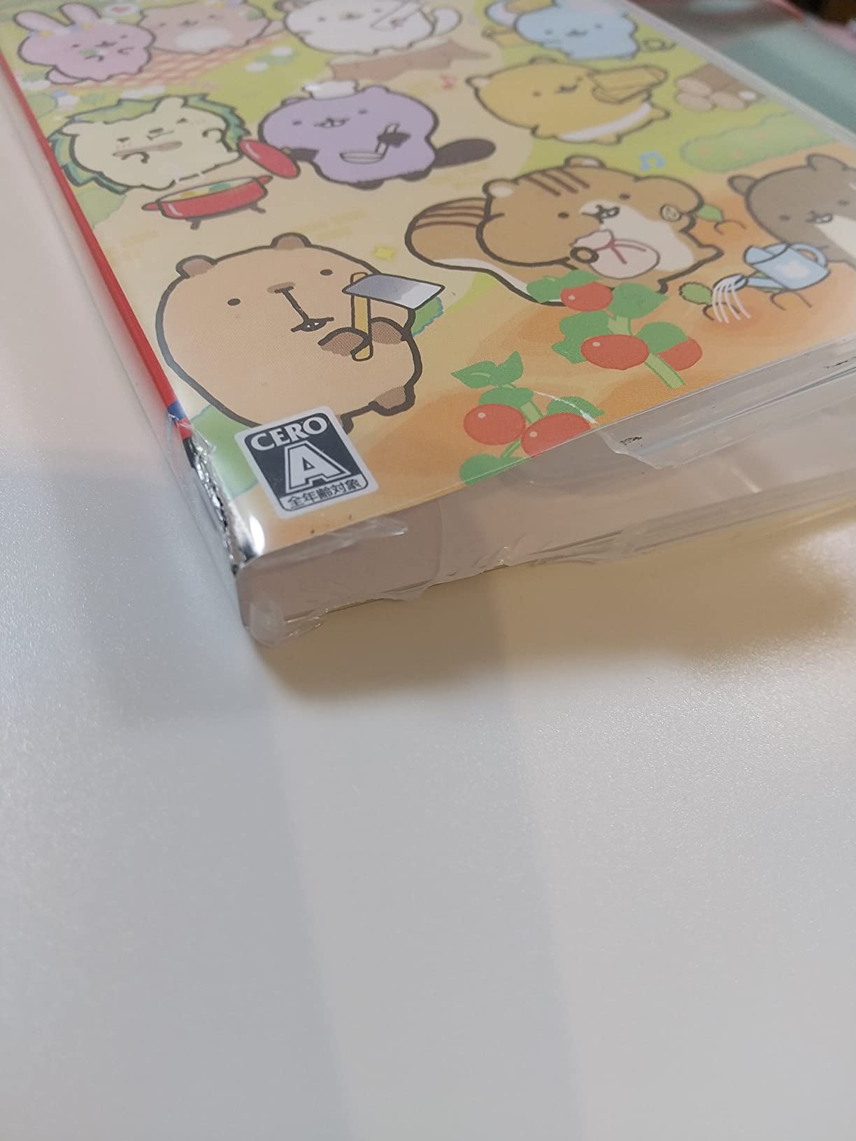 ケースがひどい状態でした。