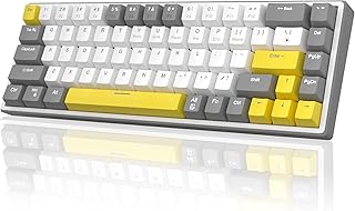 MageGee 60% Mechanical Gaming Keyboard, 68 Keys Hot-Swappable Compact Blue LED Backlit Gaming Keyboard, SKY68 Wired Ergonomic Mini Office Keyboard for Windows PC Gamer (Purple Switch, Gray & White)