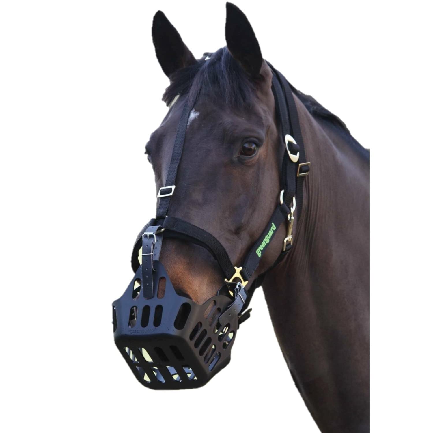 Shires - MJ Ainge and Co Ltd Greenguard Headcollar in Black to be used with Greenguard Muzzle SMALL Ponyy, Black