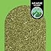 Imagen de Alpi Nature Moringa Infusión 250g
