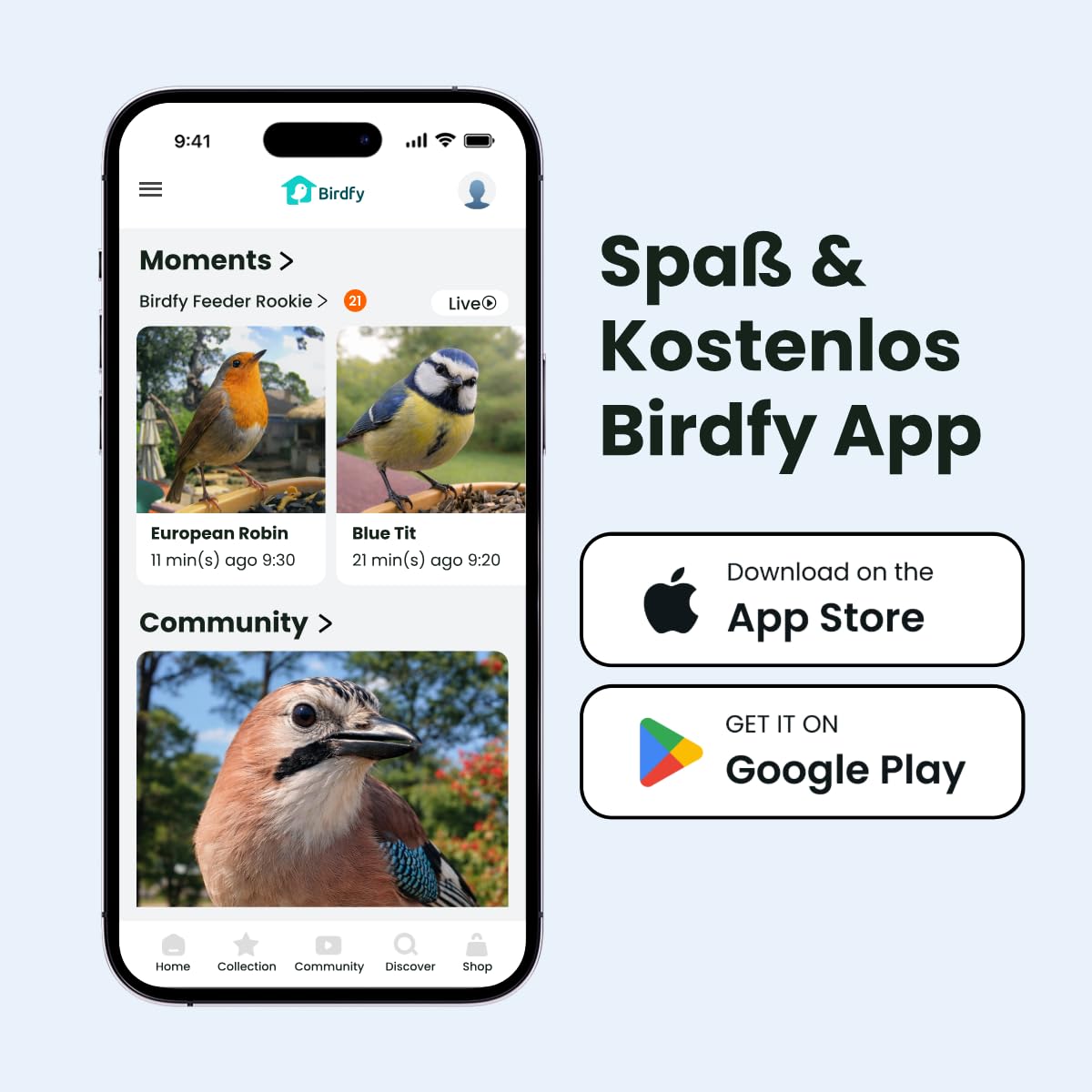 Birdfy Smart Vogelfutterhaus mit Kamera für Anfänger, Solarbetriebener Vogelfutterautomat für den Außenbereich mit doppelter Nachtsicht, KI Vogelerkennung kostenlos, Zeitlupe und Schutzklasse IP66