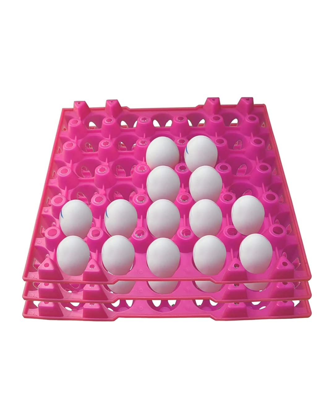 Buy Egg Trays Plastic for Storage with 30 Eggs Holder, Egg Carry for