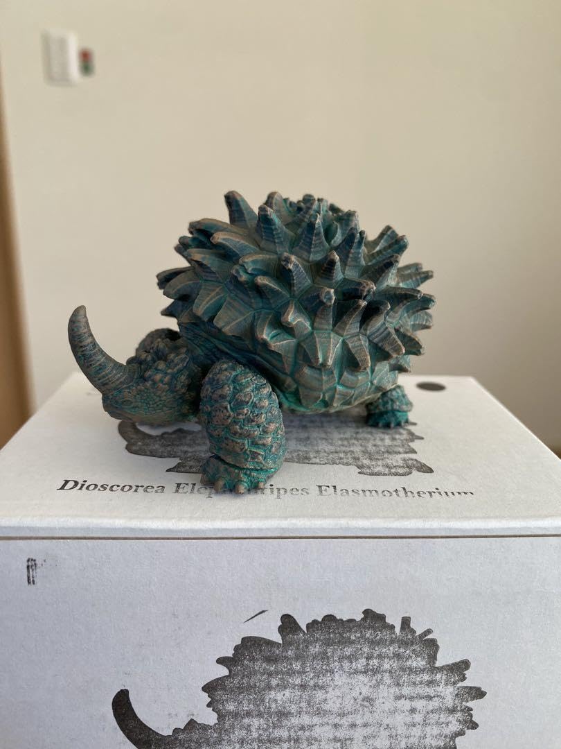 【限定品/ブロンズ】長谷川ナーセリー OZWRT デオスコレア・エラスモテリウム Amazon.co.jp: 【限定品/ブロンズ】 長谷川ナーセリー OZWRT