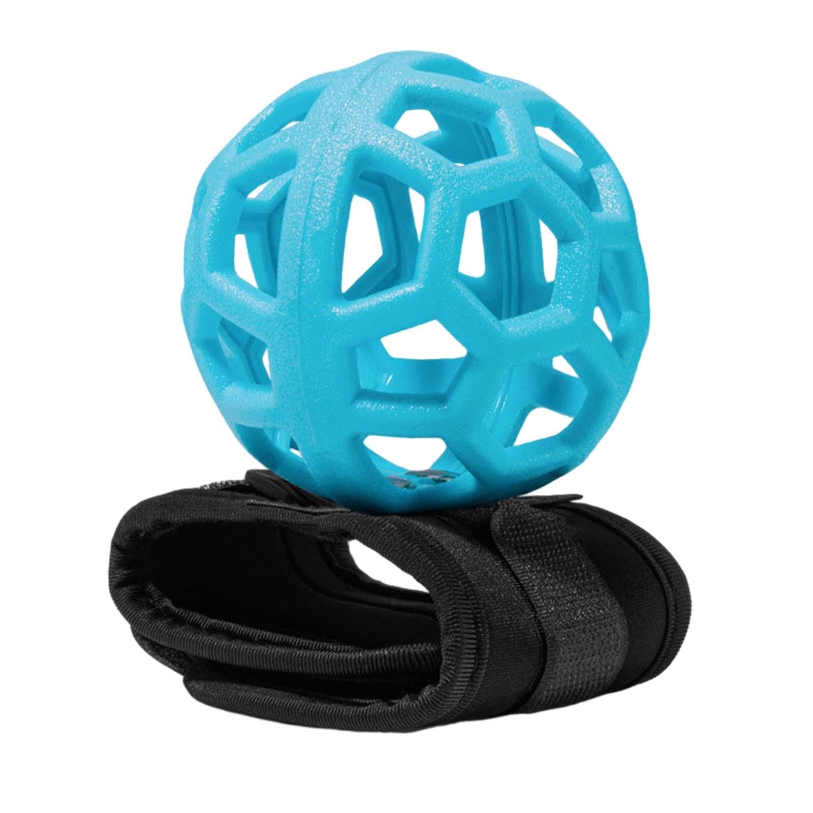 SECRET DESIRE Golf Swing Trainer Wrist Band Golf Trainer Ball for Golfers Adults Beginners Blue (B0D9891MQ6) Amazon Price History, Amazon Price Tracker