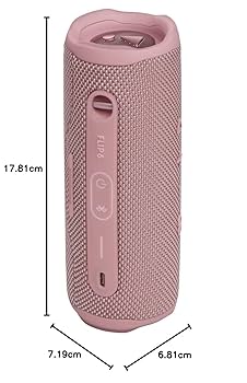JBL Flip 6 Pink/Portable Speaker : Amazon.in: Electronics