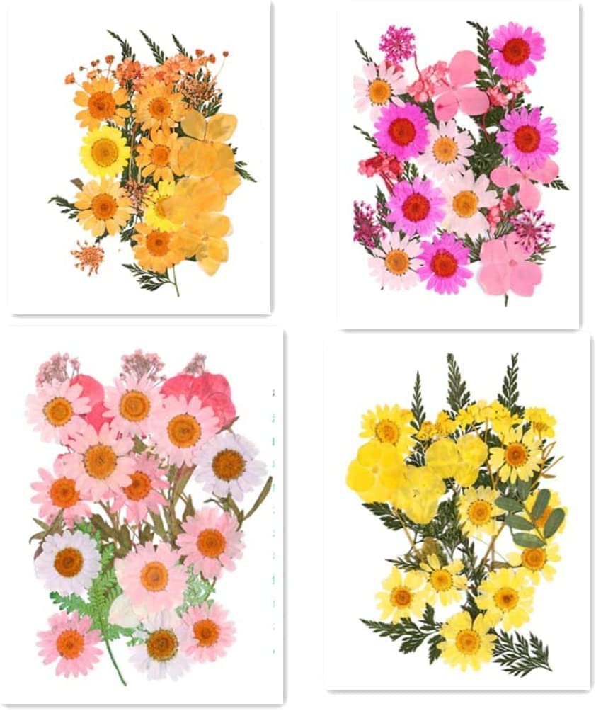 Amazon.co.jp: DIY用 造花 押し花 花材 セット 顔飾り クラフト