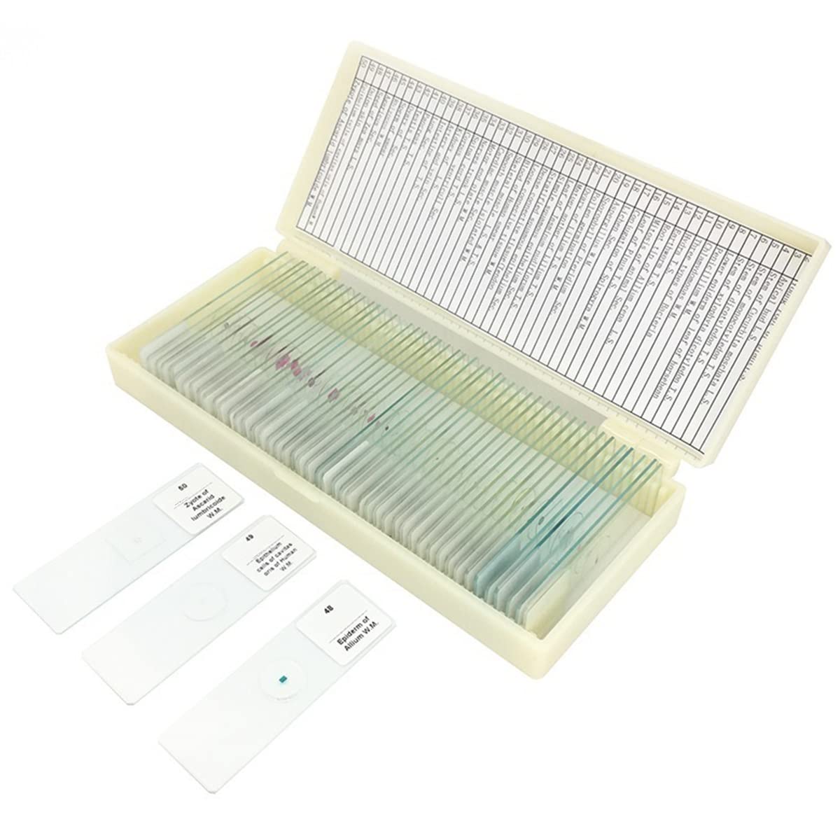 Kit di Accessori per microscopio 50 Tipi di microscopio in Vetro preparato in Vetro for Laboratorio di Laboratorio Esemplare Biologico Vetrini per microscopio