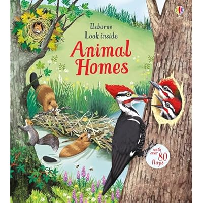 Look Inside Animal Homes