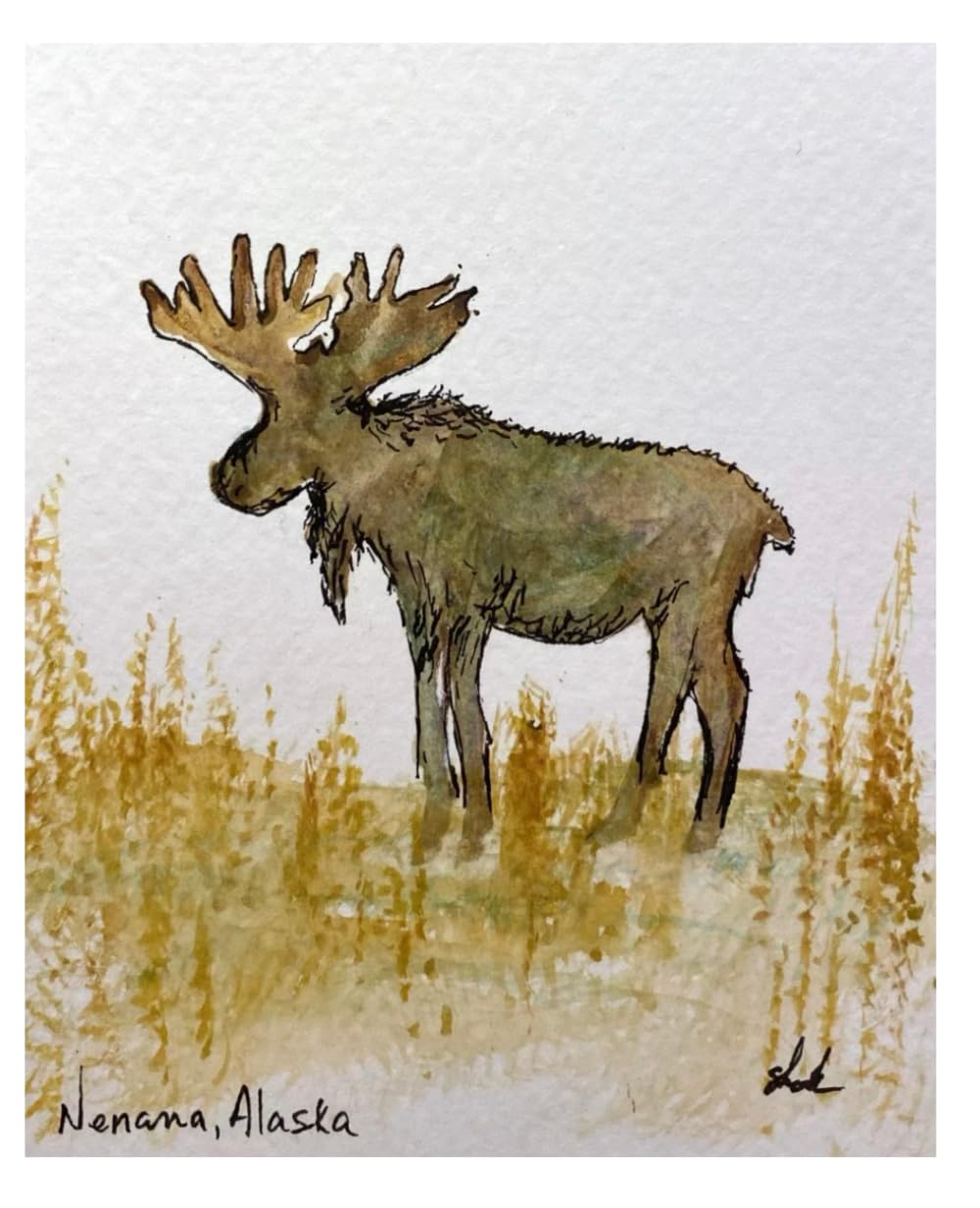 Skook Irwin Bull Moose Journal