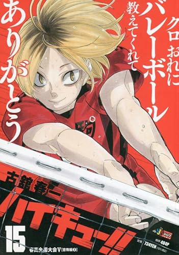 ハイキュー!! 15: 集英社REMIX (集英社ジャンプリミックス)