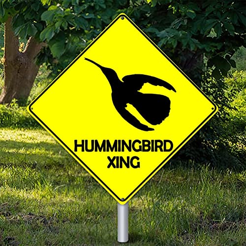 Cadeau original panneau métallique Hummingbird Xing pour passionné de nature