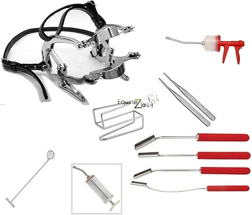 Espéculo Dental Milenio Equino con Drencher, Flotadores, Espejo, Retractor de Verificación