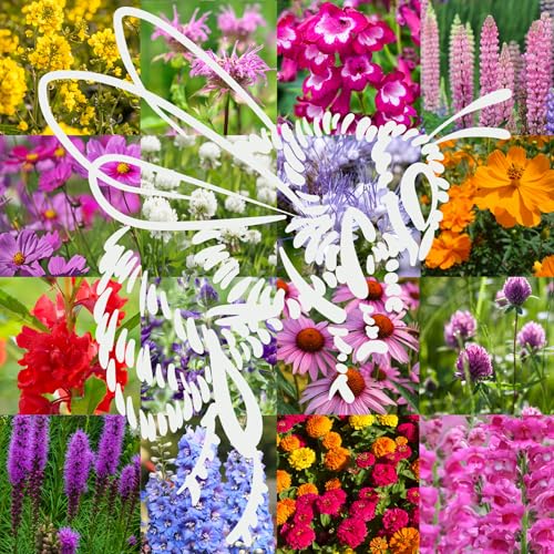 U.S. Nationwide Pollinator Wildflower Seed Mix - Attract Pollinators &