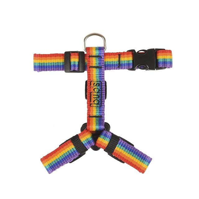 Bub’s® Arnés Perro Pequeño Antitirones - Arnés Forma de H - Dog Harness, Pechera para Perro (Pequeño, Rainbow)