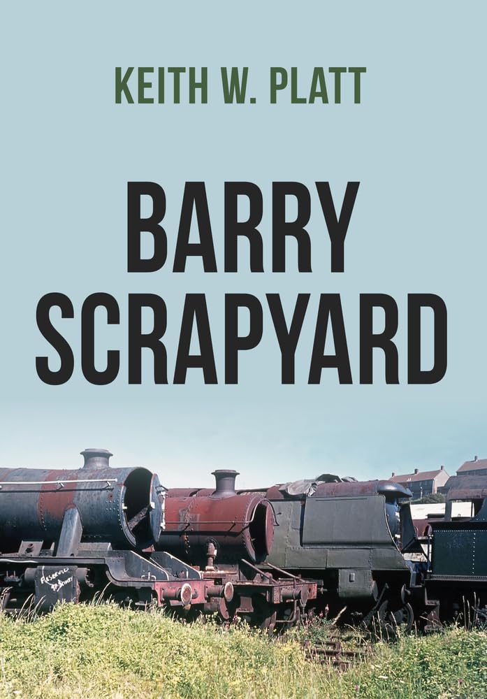 Barry Scrapyard Paperback – 15 Oct. 2017