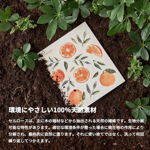 セルロース ふきん 5枚セット 5枚目