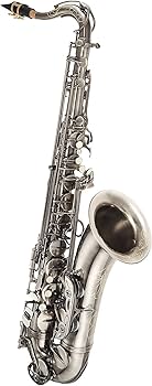 J.Michael テナーサックス J.Michael Jマイケル TN-900<br>テナーサクソフォン (テナー