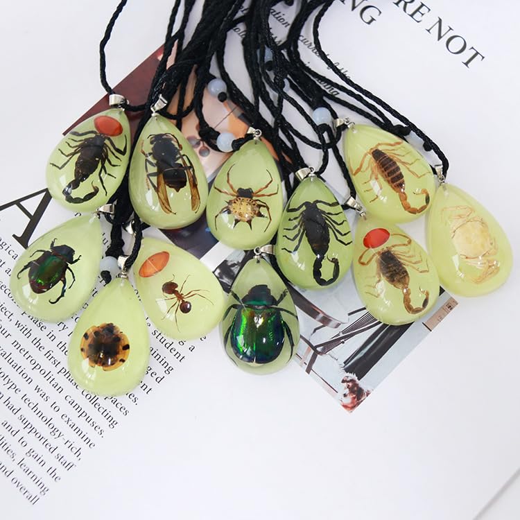 Caiyao Real Bug Necklace Real Insect Beetle Spider Scorpion Ant Taxidermy Animals Insect Collect Pendant Necklace Jewelry4