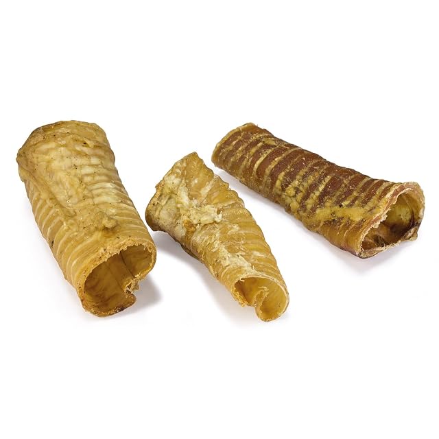 Foto 2 de 2 de Arquivet - Tráquea para Perros - Bolsa 3 uds - Snacks 100% Naturales para Perros