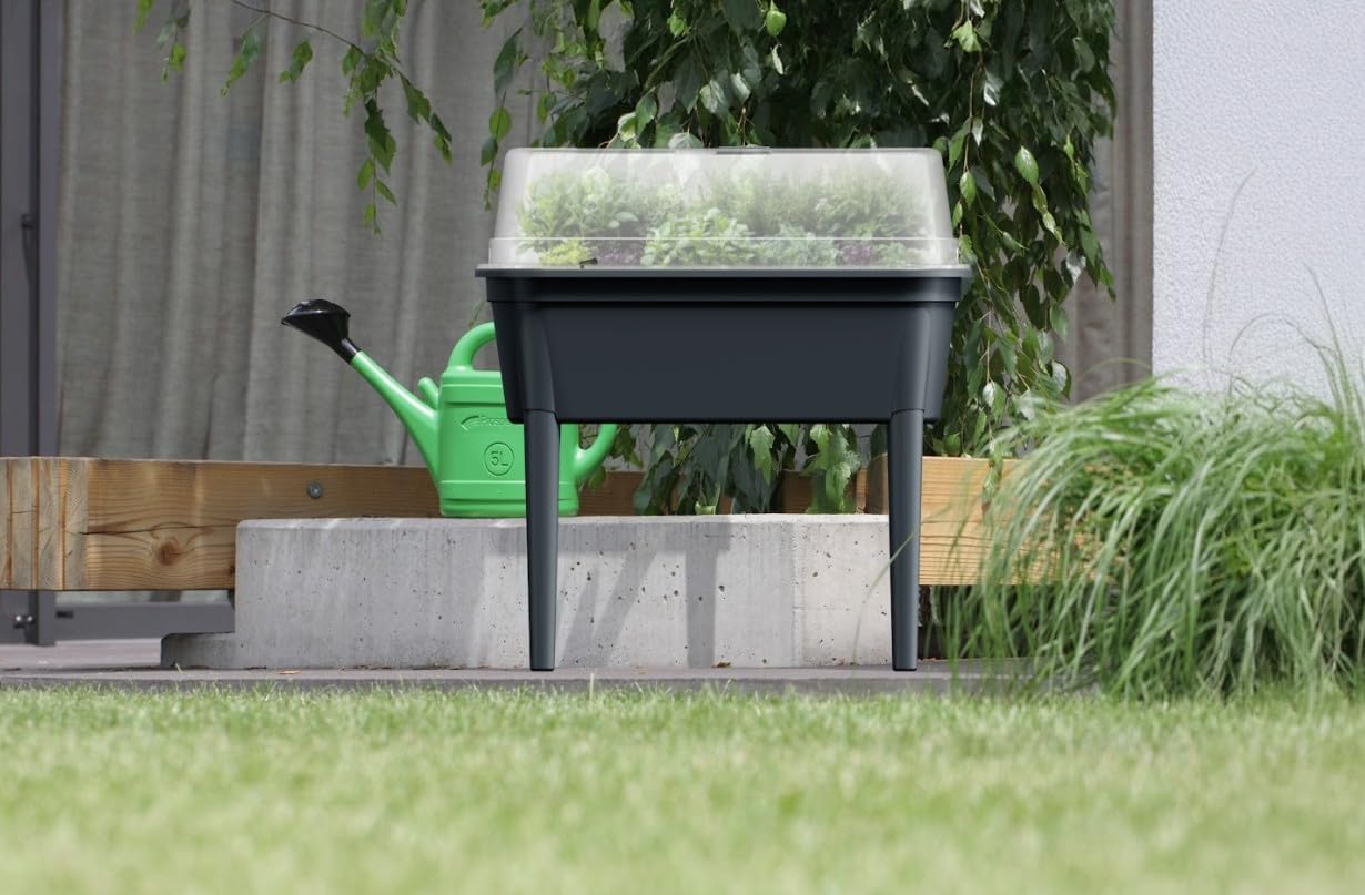 BirnePower Potager sur Pied avec Couvercle DBLP780 Gris Pierre. Mini Serre de Jardin 47L 775x378x820 mm. Bac de Culture avec Ventilation et Pieds Amovibles (1 Pièce)