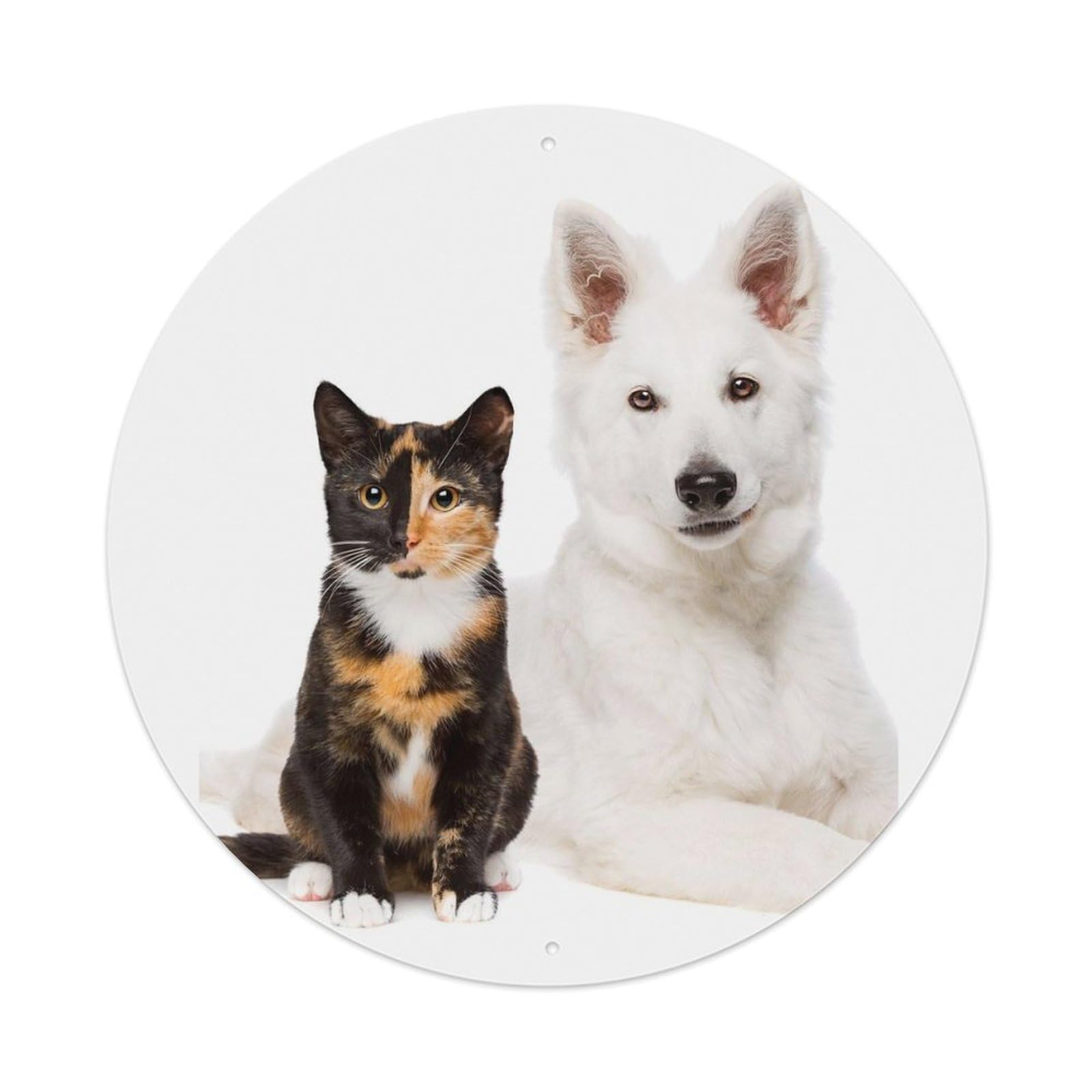 Cute Puppy Kitten Pet Animal Classic Portrait Metal Tin Sign