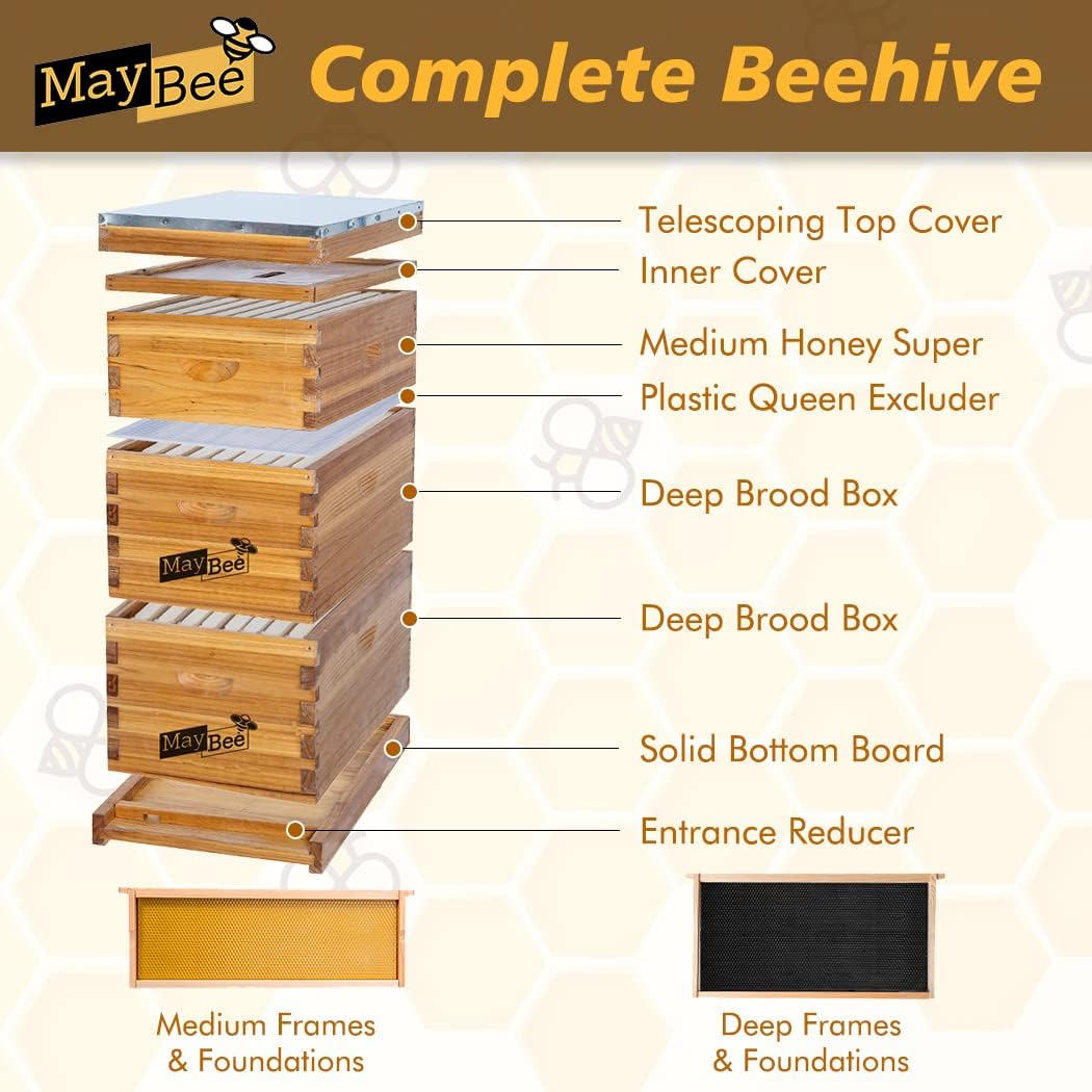 MayBee 8-Frame Langstroth Beehive Dipped in 100% Beeswax, Bee Hive for Beginner, Honey Bee Hives Includes 2 Deep Bee Boxes, 1 Bee Hive Super with Beehive Frames and Foundation (3 Layer)